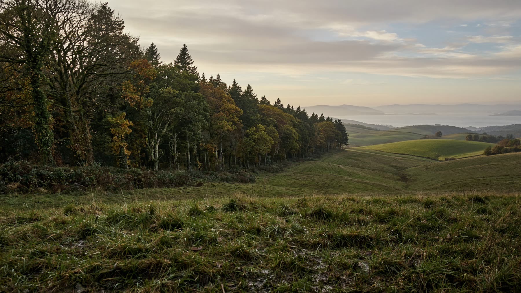 Ayrshire farmland and woodland under a wide sky